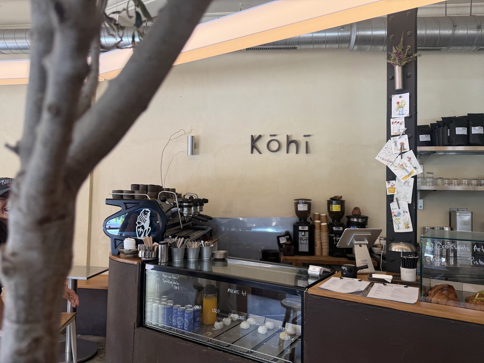 Kohi