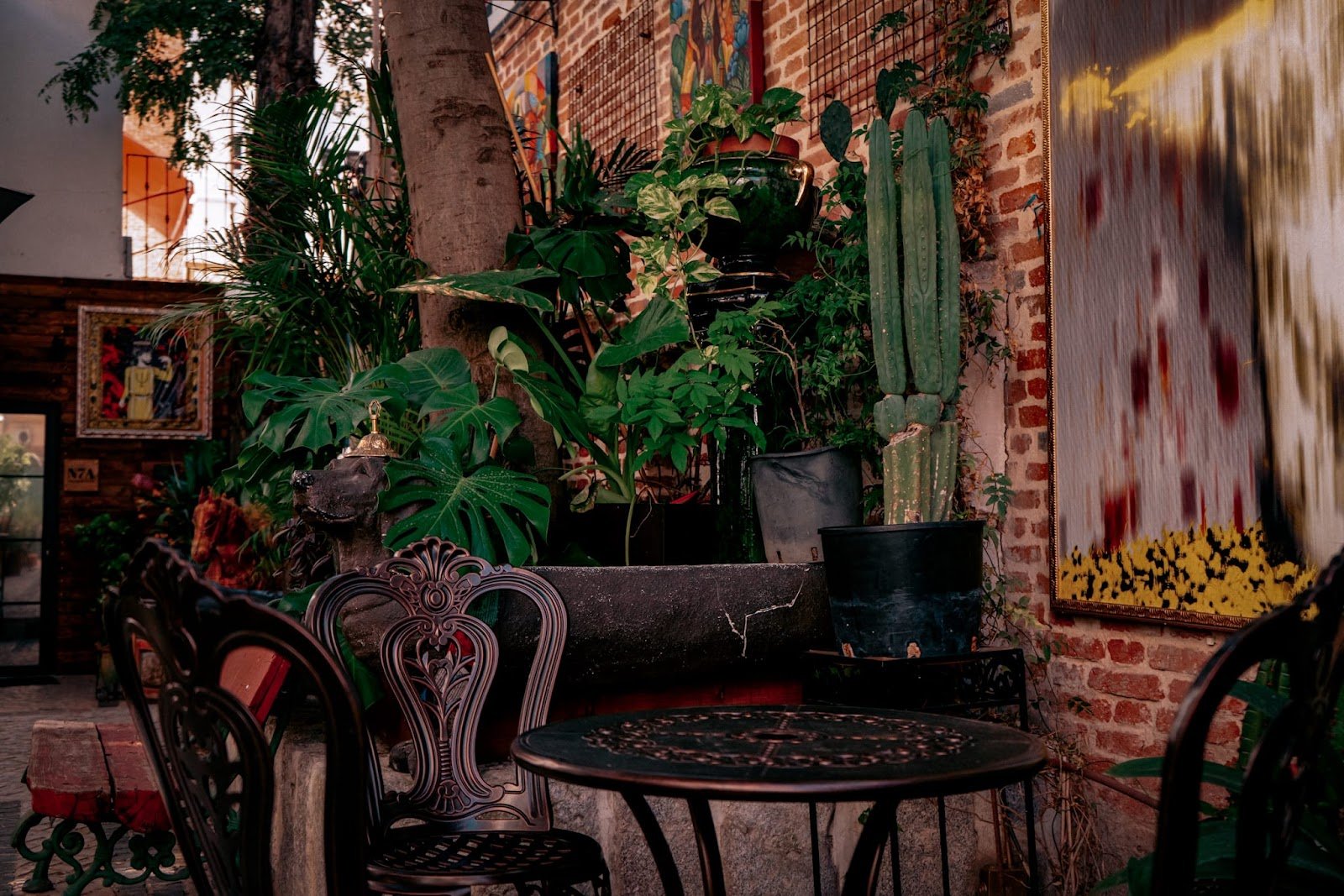 Noviciado CoffeeShop