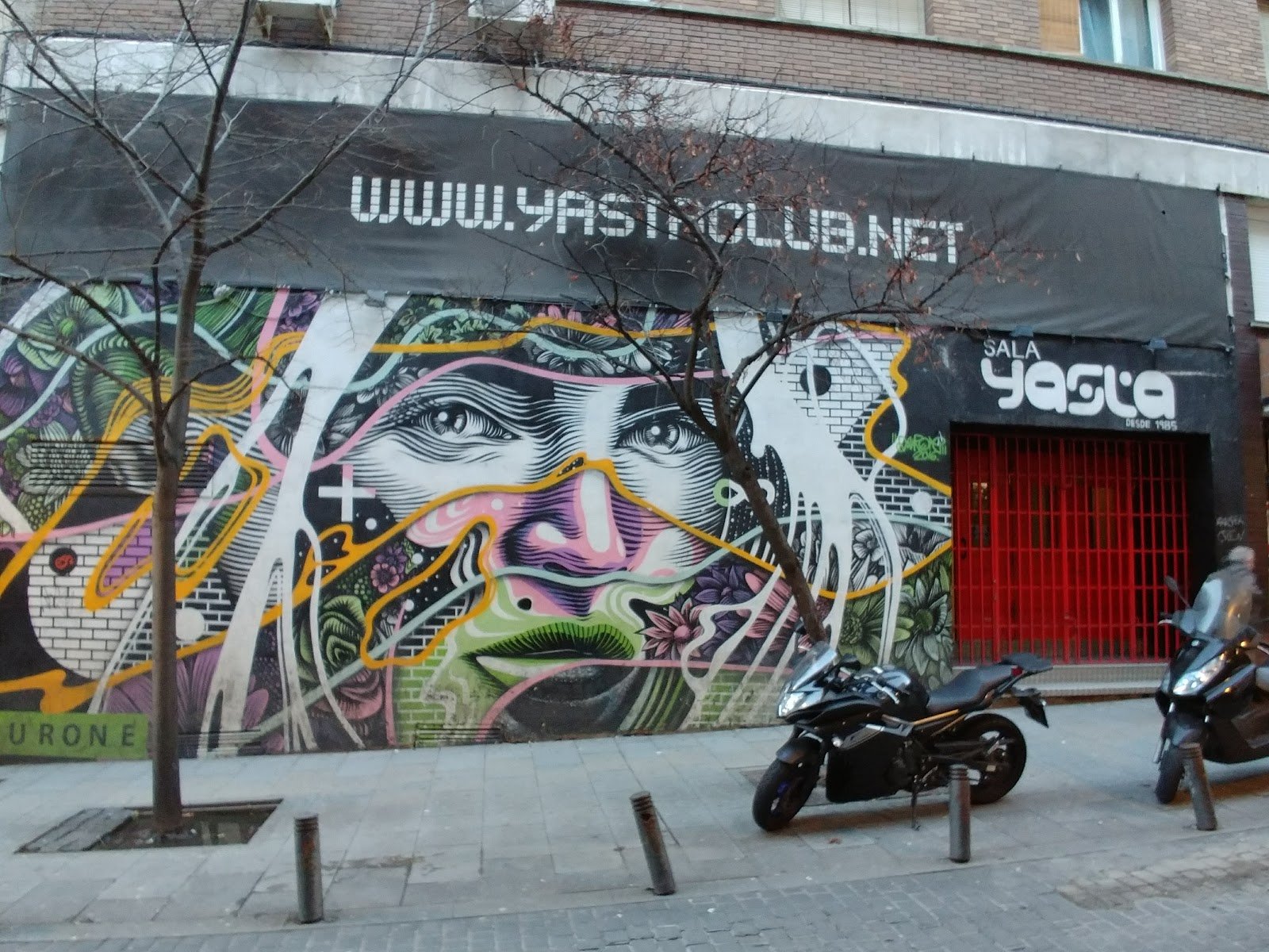 Cutxi-Bar