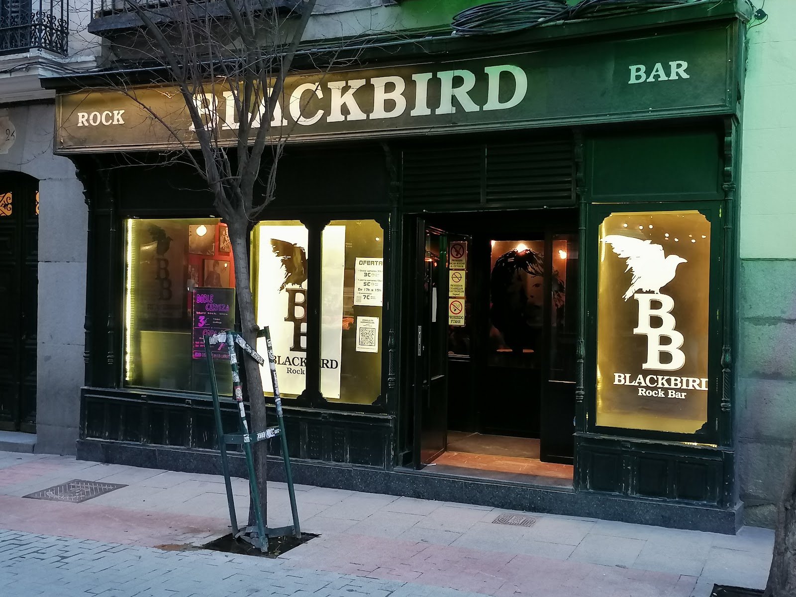 Blackbird