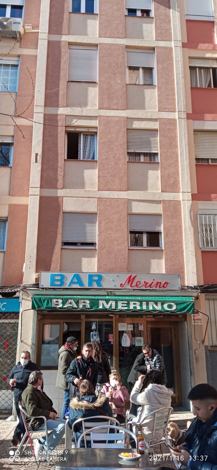 Merino